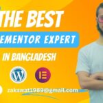 The best elementor expert in Bangladesh